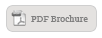 View PDF